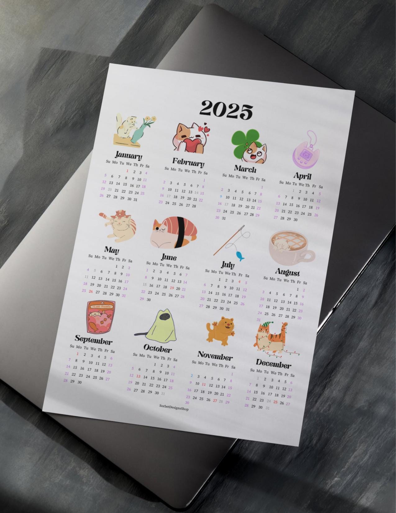 2025 Colorful Cat Themed Year at a Glance Calendar