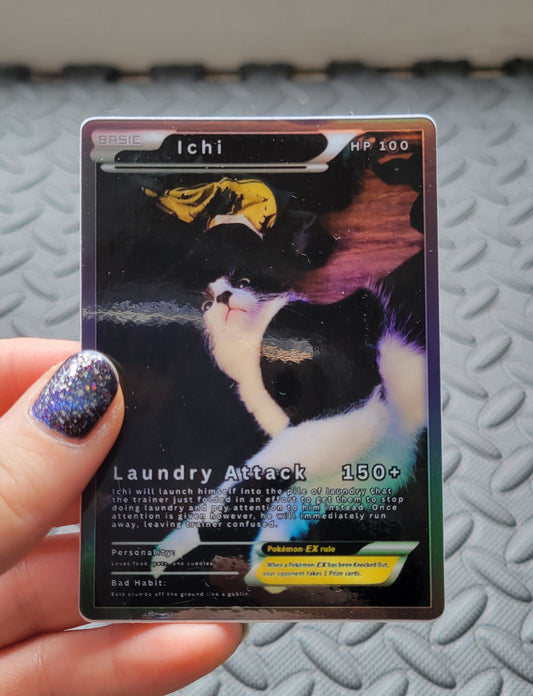 Ichi Card Series | Laundry Attack