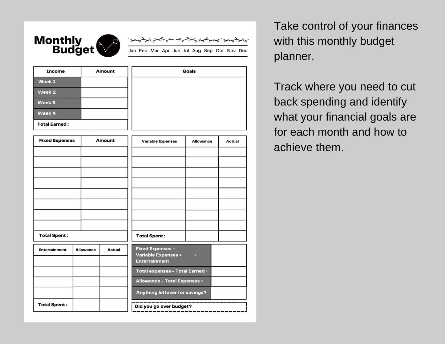 Zodiac Astrology Pisces Daily Planner and Monthly Budget Tracker