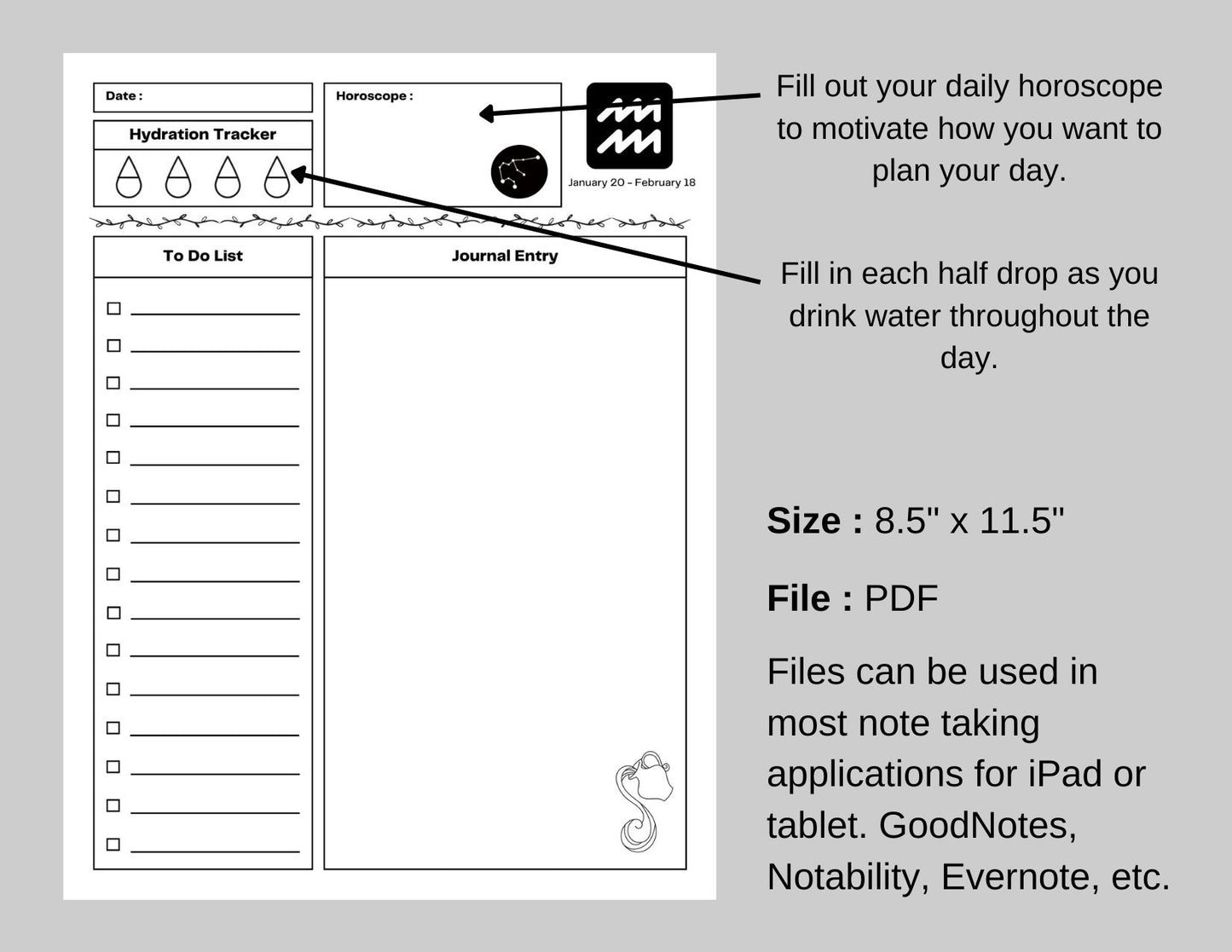 Zodiac Astrology Acquarius Daily Planner and Monthly Budget Tracker