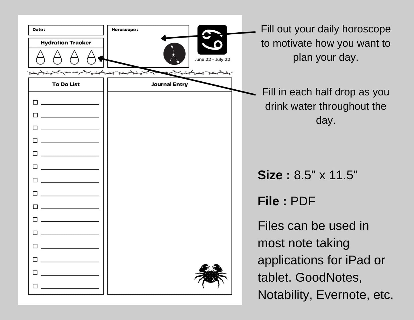 Zodiac Astrology Cancer Daily Planner and Monthly Budget Tracker