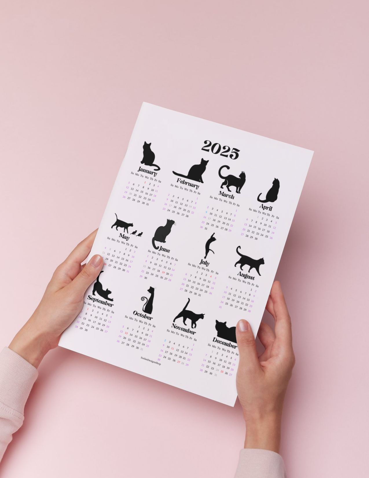 2025 Minimalist Cat Themed Year at a Glance Calendar