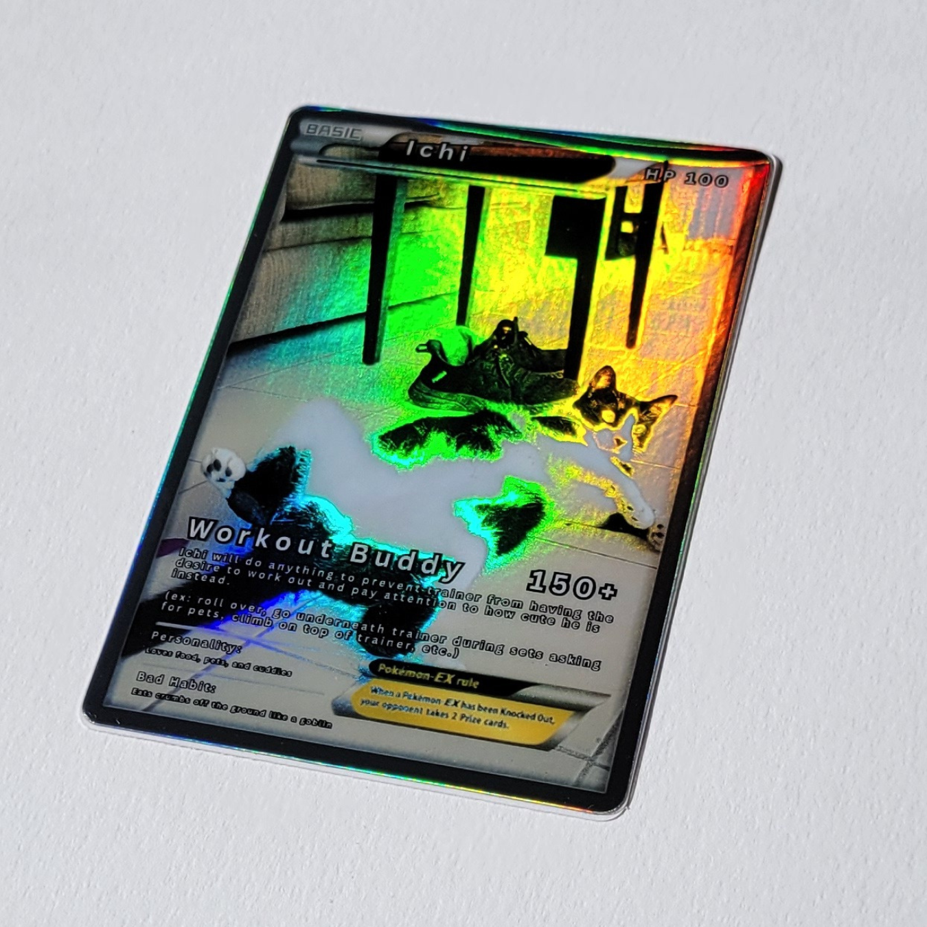 Ichi Card Series | Workout Buddy