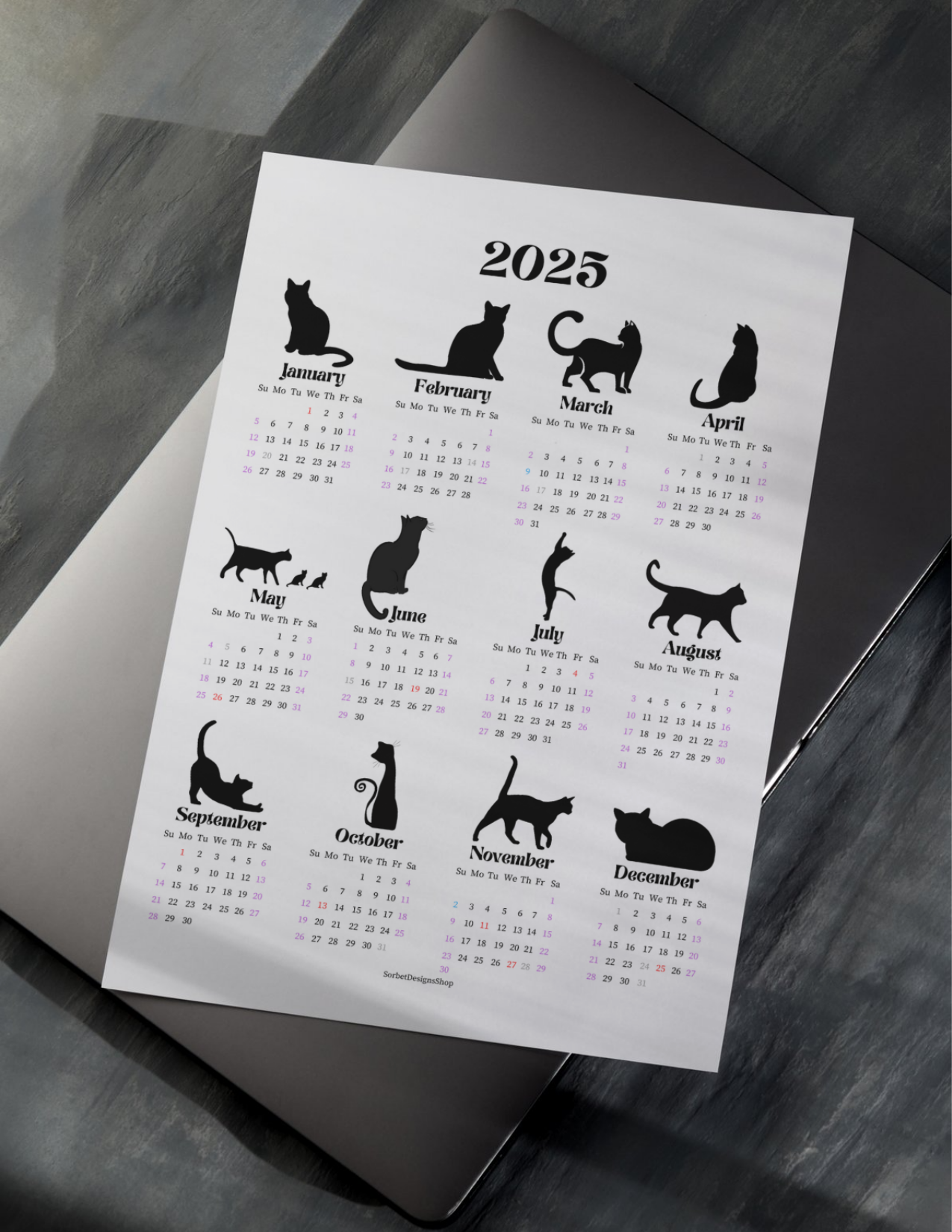 2025 Minimalist Cat Themed Year at a Glance Calendar