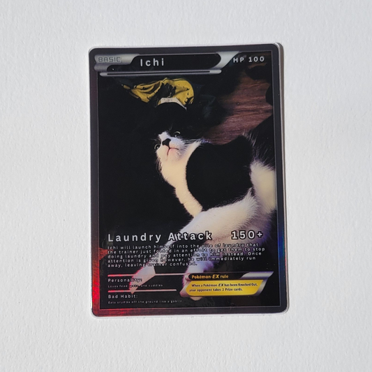 Ichi Card Series | Laundry Attack