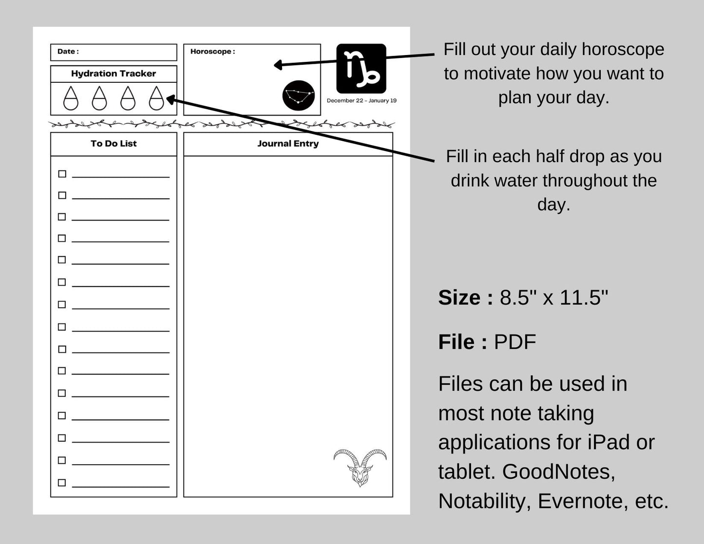 Zodiac Astrology Capricorn Daily Planner and Monthly Budget Tracker