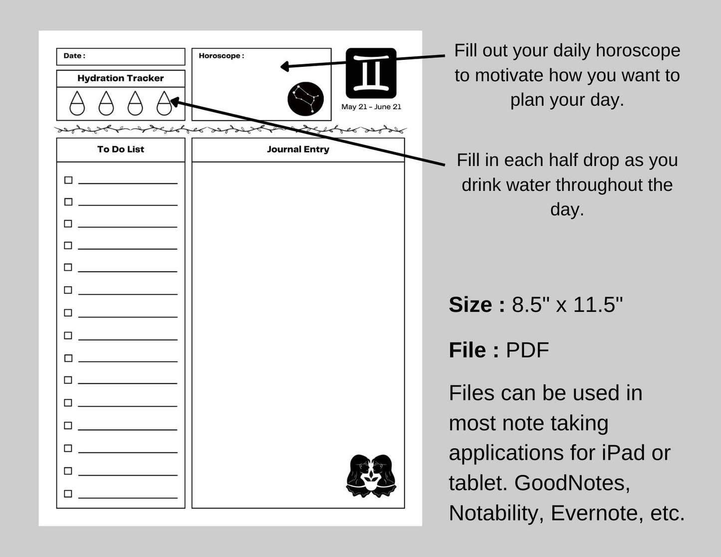 Zodiac Astrology Gemini Daily Planner and Monthly Budget Tracker